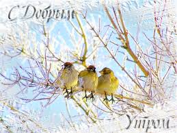 Открытки
